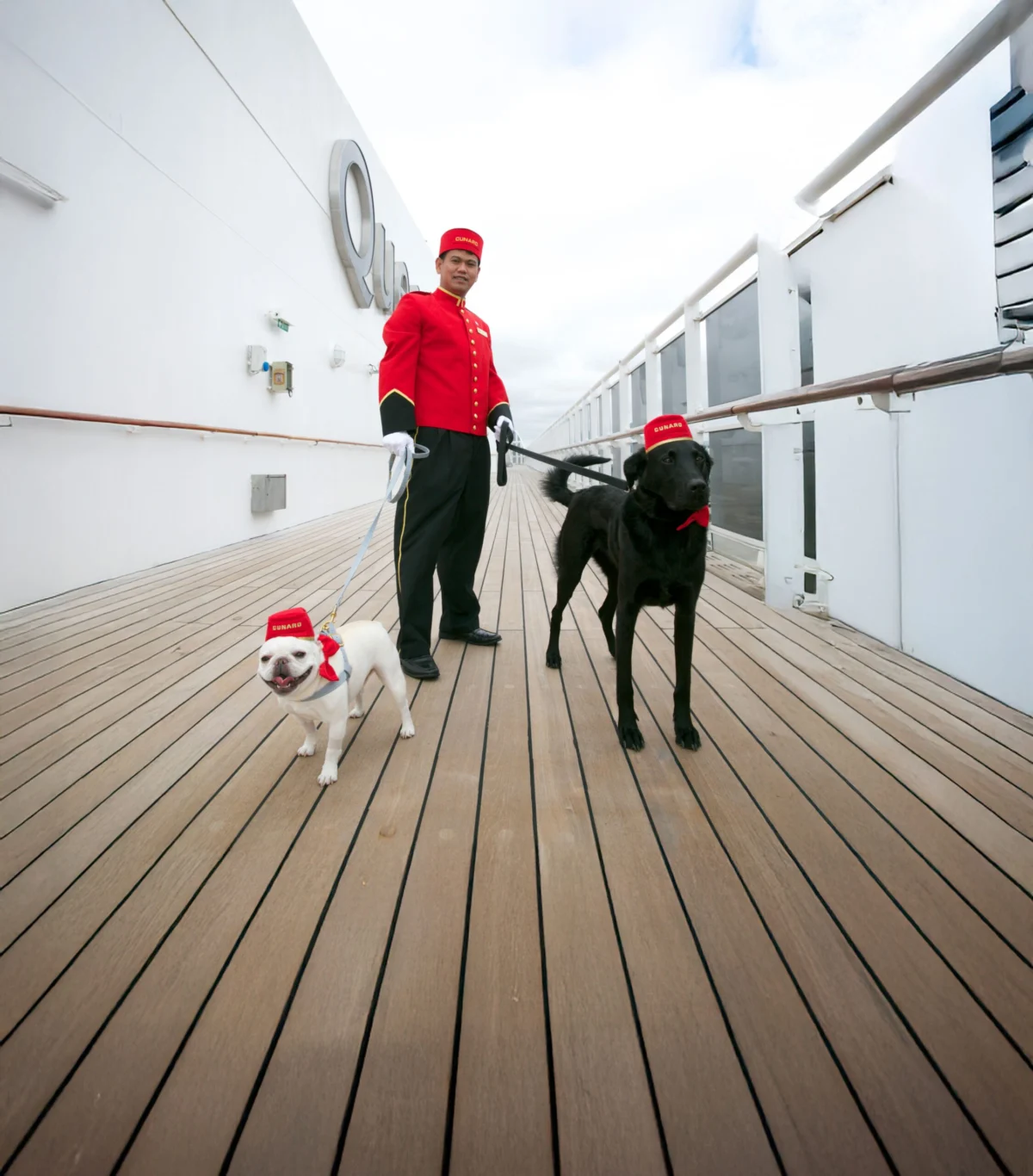 High Seas, Wet Noses: Meet Oliver Cruz, the Man Running the World’s Only Floating Luxury Kennel