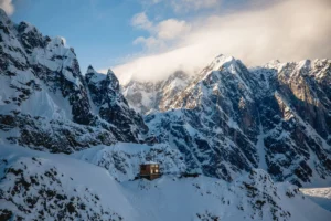 Navigating the Wilderness: The Ultimate Guide to Exploring Denali National Park and Preserve