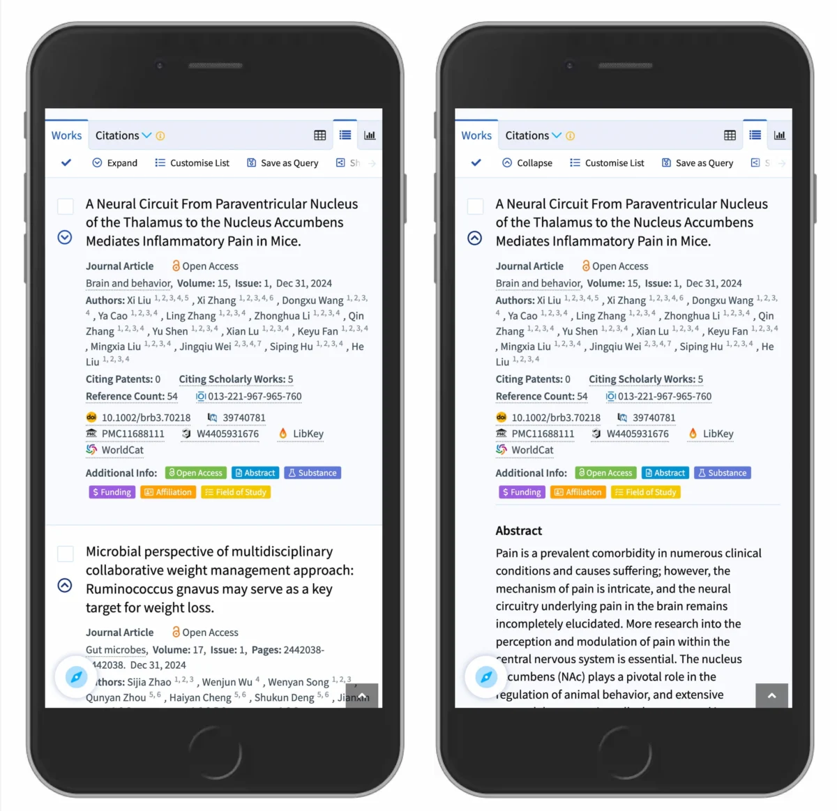 The Anatomy of Navigation: Decoding Accordion Icons for Better UX