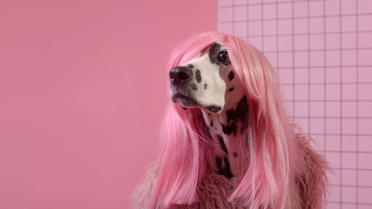 The Era of Absurdgasm: Why Brands Are Embracing Organized Chaos