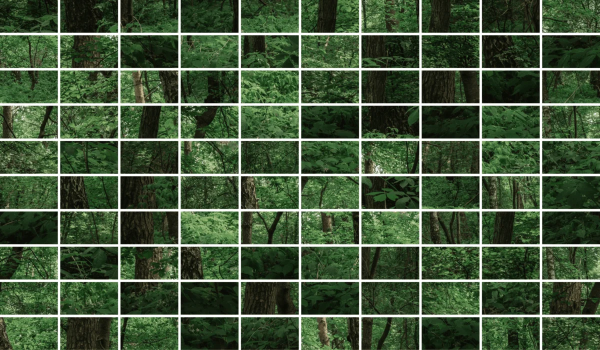 Tracing the Grid: How a 18th-Century Survey Carved Modern America Out of the Forest